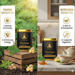 Moringa Herbal Tea | A Gentle Daily Weight-loss Ritual